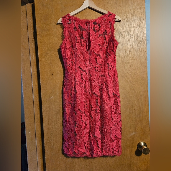 Pink Lace Dress - Picture 4 of 5